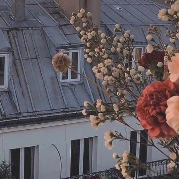 Meet your Posher, Talia - Picture 1 of 1